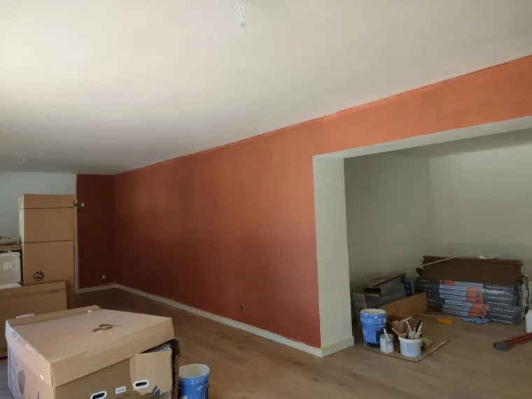 Rénovation de peinture murale intérieure à Pierrelatte, Pierrelatte, EURL Fontenelle